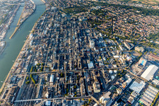 Building and production halls on the premises of the chemical manufacturers BASF between Rhine river and Friesenheim in Ludwigshafen am Rhein in the state Rhineland-Palatinate, Germany