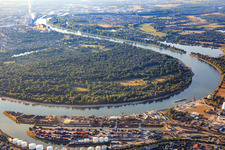 Aerial view of Kaiserwörthhafen and Reisinsel on the other side of the Rhine in the district Mundenheim in Ludwigshafen am Rhein in the state Rhineland-Palatinate, Germany
