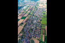 Village view on the edge of agricultural fields and land in Lustadt in the state Rhineland-Palatinate, Germany