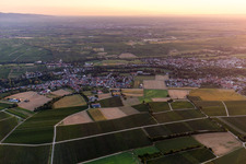 Bird's eye view of District Billigheim in Billigheim-Ingenheim in the state Rhineland-Palatinate, Germany