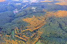 Aerial view of Bunter sandstone rock in the forest in Waldhambach in the state Rhineland-Palatinate, Germany
