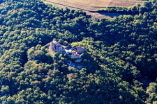 Aerial photograpy of Montfort Castle Ruins in Hallgarten in the state Rhineland-Palatinate, Germany