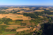 Vineyards in the Alsenz Valley in the district Cölln in Mannweiler-Cölln in the state Rhineland-Palatinate, Germany