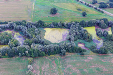 Pond with duckweed in the district Garlstorf in Bleckede in the state Lower Saxony, Germany