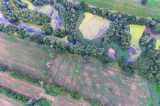 Aerial photograpy of Pond with duckweed in the district Garlstorf in Bleckede in the state Lower Saxony, Germany