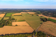 Fauler between Göxe and Hagen in Wendisch Evern in the state Lower Saxony, Germany