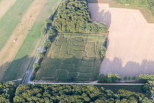 Maze - Labyrinth in a corn-field in Amelinghausen in the state Lower Saxony, Germany