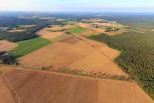 Fields and forests of the Lüneburg Heath in the district Wettenbostel in Wriedel in the state Lower Saxony, Germany