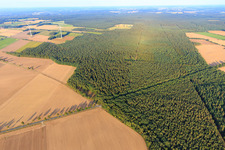Aerial view of Fields and forests of the Lüneburg Heath in the district Wettenbostel in Wriedel in the state Lower Saxony, Germany