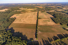 Country road between Beckendorf and Bengerstorf in the district Beckendorf bei Boizenburg in Bengerstorf in the state Mecklenburg-Western Pomerania, Germany