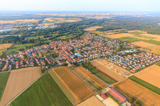 Development of the new Fichtenweg development area in Steinweiler in the state Rhineland-Palatinate, Germany from above