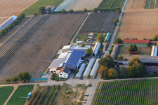 Zapf Hofmarkt Hofcafée in Kandel in the state Rhineland-Palatinate, Germany
