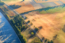 Herrenteich airfield on the banks of the Rhine with morning mist in Hockenheim in the state Baden-Wuerttemberg, Germany