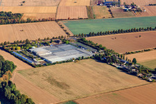 Löwen Nursery in Seligenstadt in the state Hesse, Germany