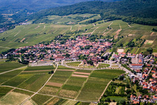 Sonnenberg in the district Schweigen in Schweigen-Rechtenbach in the state Rhineland-Palatinate, Germany