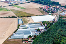 Glass roof surfaces in the greenhouse rows for Floriculture in Schwarzach am Main in the state Bavaria, Germany
