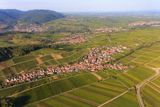 Aerial photograpy of Wine village overview between vineyards from the south in Ranschbach in the state Rhineland-Palatinate, Germany
