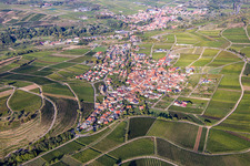 Birkweiler in the state Rhineland-Palatinate, Germany