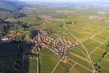 Wine village overview between vineyards from the south in Gleisweiler in the state Rhineland-Palatinate, Germany