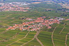 View of the winegrowing village between vineyards from the southwest in Rhodt unter Rietburg in the state Rhineland-Palatinate, Germany