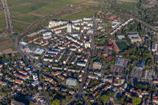 Aerial view of Neustadt an der Weinstraße in the state Rhineland-Palatinate, Germany