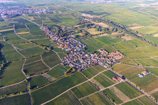 Wine village view between vineyards from the south in Forst an der Weinstraße in the state Rhineland-Palatinate, Germany