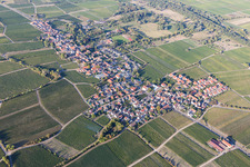 Village - view on the edge of wine yards in Forst an der Weinstrasse in the state Rhineland-Palatinate