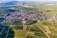 Village view on the edge of wine yards in Wachenheim an der Weinstrasse in the state Rhineland-Palatinate, Germany
