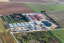 Stubenbordt GmbH & Co. KG Hortulanushof in Zeiskam in the state Rhineland-Palatinate, Germany