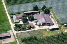 Gensheimer asparagus and fruit farm in the Lindenhof in Steinweiler in the state Rhineland-Palatinate, Germany from above