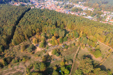 Garden at the edge of the forest in Dörrenbach in the state Rhineland-Palatinate, Germany seen from above