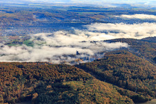 Fog in the Neckar Valley in Haßmersheim in the state Baden-Wuerttemberg, Germany