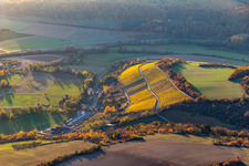 Vineyards in the evening light in the district Stetten in Karlstadt am Main in the state Bavaria, Germany