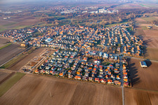 From the southeast in Steinweiler in the state Rhineland-Palatinate, Germany