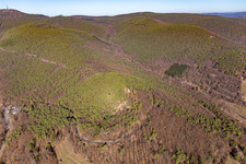 Aerial view of Wetterkreuzberg Chapel in Maikammer in the state Rhineland-Palatinate, Germany