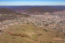 City view from the south in Neustadt an der Weinstraße in the state Rhineland-Palatinate, Germany
