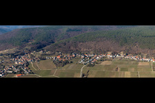 Fields of wine cultivation landscape in the district Haardt in Neustadt an der Weinstrasse in the state Rhineland-Palatinate, Germany