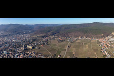 Panoramic perspective fields of wine cultivation landscape in the district Haardt in Neustadt an der Weinstrasse in the state Rhineland-Palatinate, Germany