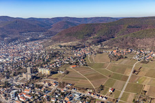 Vineyard path from the northwest in Neustadt an der Weinstraße in the state Rhineland-Palatinate, Germany