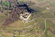 Autumn in the vineyard at the castle with structures of the roads to grow the vine of Baden the in Staufen in Breisgau in the state Baden-Wuerttemberg, Germany