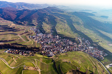 Fields of wine cultivation landscape in Kiechlinsbergen in the state Baden-Wurttemberg, Germany