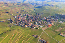 Aerial view of From the north in the district Bischoffingen in Vogtsburg im Kaiserstuhl in the state Baden-Wuerttemberg, Germany