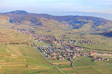 Aerial view of Winegrowing village on the Kaiserstuhl from the west in the district Oberrotweil in Vogtsburg im Kaiserstuhl in the state Baden-Wuerttemberg, Germany