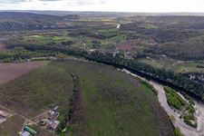 Walnut plantations on the Dordogne Loop in Vitrac in the state Dordogne, France