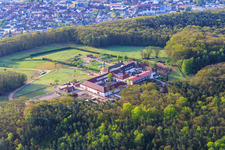 Aerial view of Liebfrauenberg Monastery from the northwest in Bad Bergzabern in the state Rhineland-Palatinate, Germany