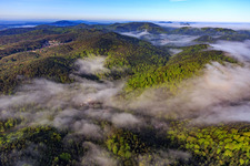 Aerial view of Morning mist over the Erlenbach in Bad Bergzabern in the state Rhineland-Palatinate, Germany