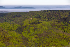 Aerial view of Guttenberg Castle Ruins in Oberotterbach in the state Rhineland-Palatinate, Germany