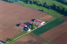 Rosenhof Wine and Sparkling Wine Estate in Steinweiler in the state Rhineland-Palatinate, Germany