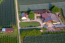 Oblique view of Gensheimer fruit and spagel farm in Steinweiler in the state Rhineland-Palatinate, Germany