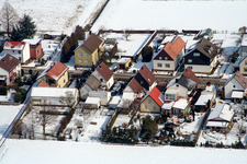 Wattstr in Freckenfeld in the state Rhineland-Palatinate, Germany seen from above
